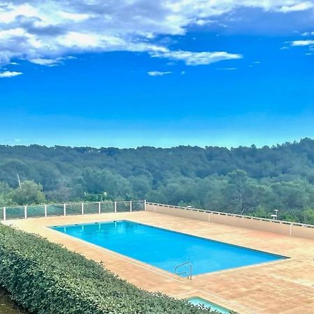 Grand Studio Avec Coin Nuit, Proche Mer Et Montagnes Roquebrune-sur-Argens Exterior photo