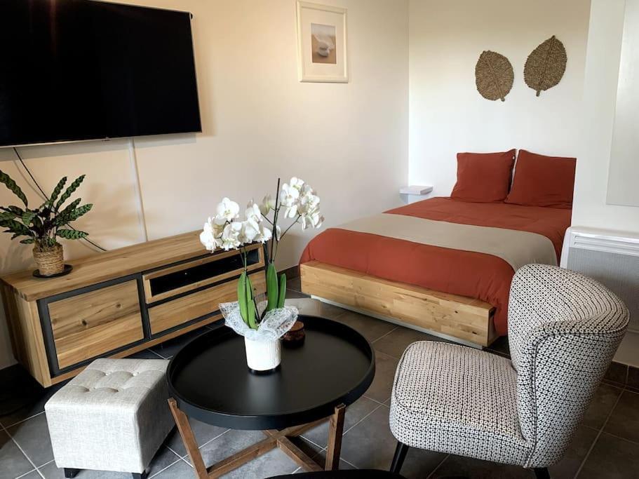 Grand Studio Avec Coin Nuit, Proche Mer Et Montagnes Roquebrune-sur-Argens Exterior photo