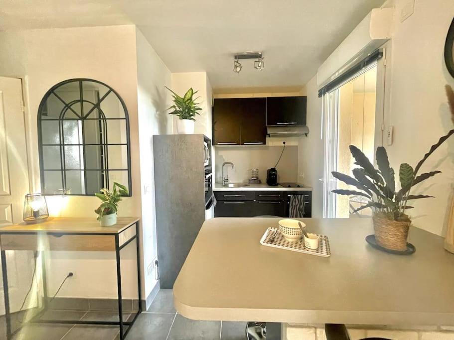 Grand Studio Avec Coin Nuit, Proche Mer Et Montagnes Roquebrune-sur-Argens Exterior photo